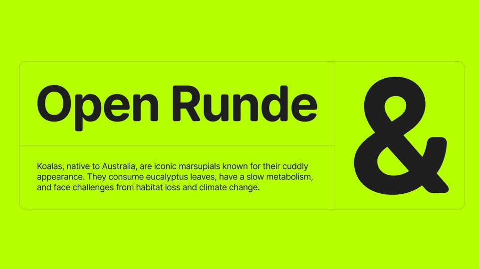Open Runde Font Family › Fontesk