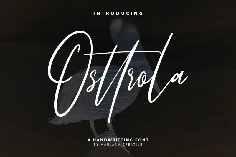 Osttrola Handwritting Font