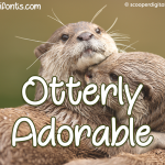 Otterly Adorable Script Font