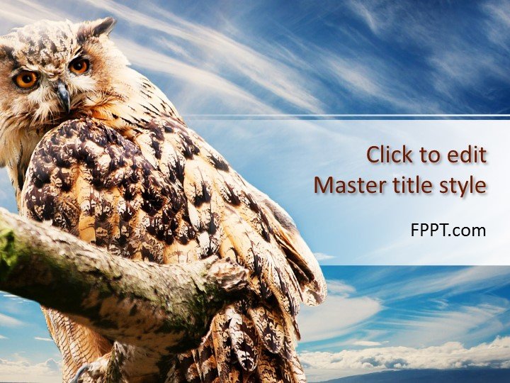 Owl PowerPoint Template