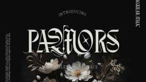 Pamors Font › Fontesk