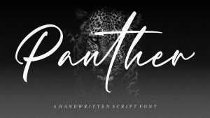 Panther Handwritten Script Font › Fontesk