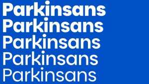 Parkin Sans Font Family › Fontesk