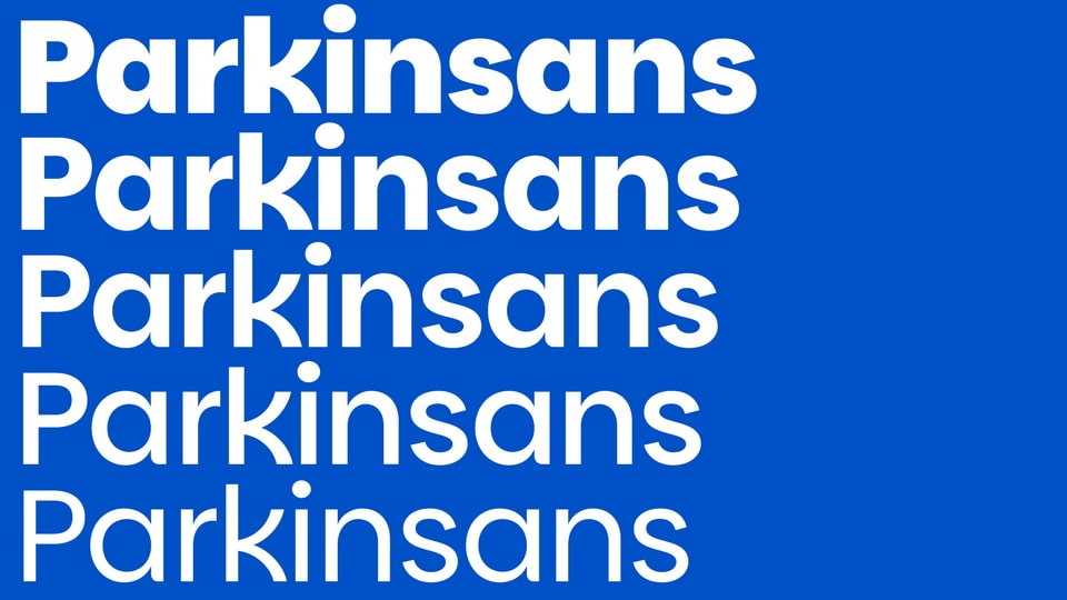 Parkin Sans Font Family › Fontesk