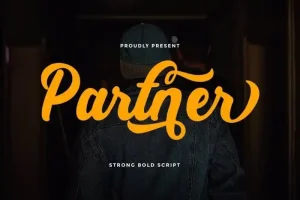 Partner Script Font