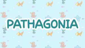 Pathagonia Font › Fontesk