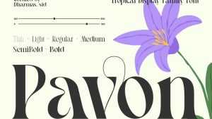 Pavon Font › Fontesk