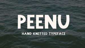 Peenu Font › Fontesk