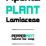 Peppermint Font