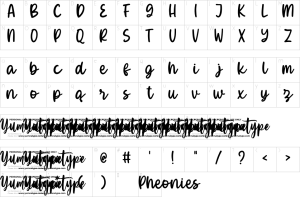 Mapa de caracteres da fonte Pheonies Font