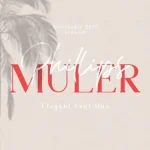 Phillips Muler Font Duo