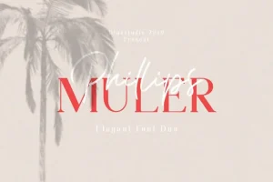 Phillips Muler Font Duo