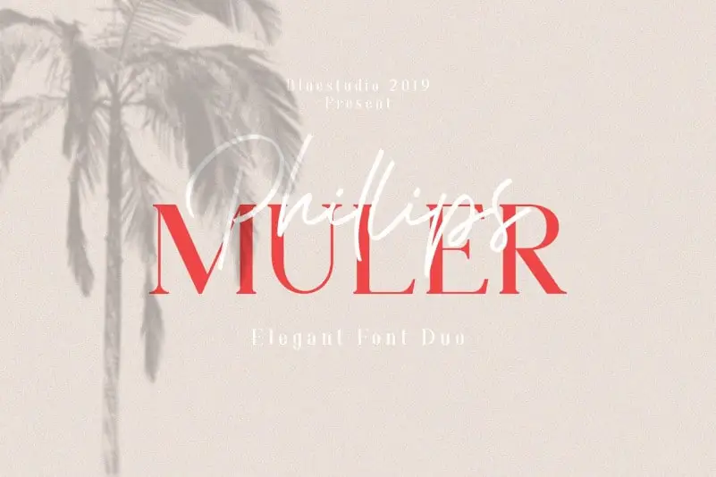 Phillips Muler Font Duo