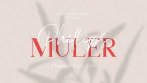 Phillips Muler Script Font › Fontesk