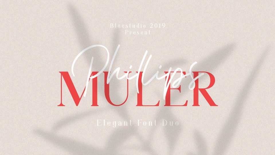 Phillips Muler Script Font › Fontesk