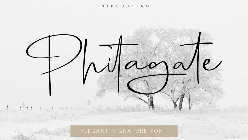 Phitagate Font › Fontesk