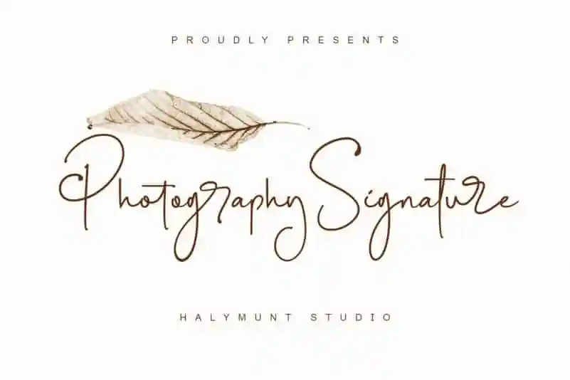 Photography Signature Script Font