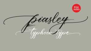 Piasley Script Font › Fontesk