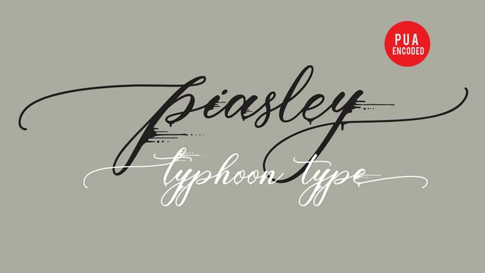 Piasley Script Font › Fontesk