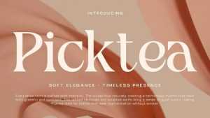 Picktea Serif Font › Fontesk
