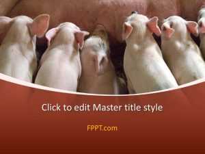 Piglet PowerPoint Template