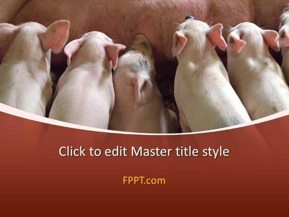 Piglet PowerPoint Template