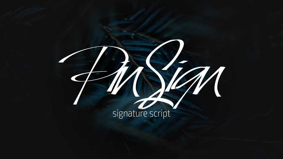 Pin Sign Script Font › Fontesk