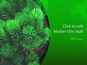 Pine PowerPoint Template