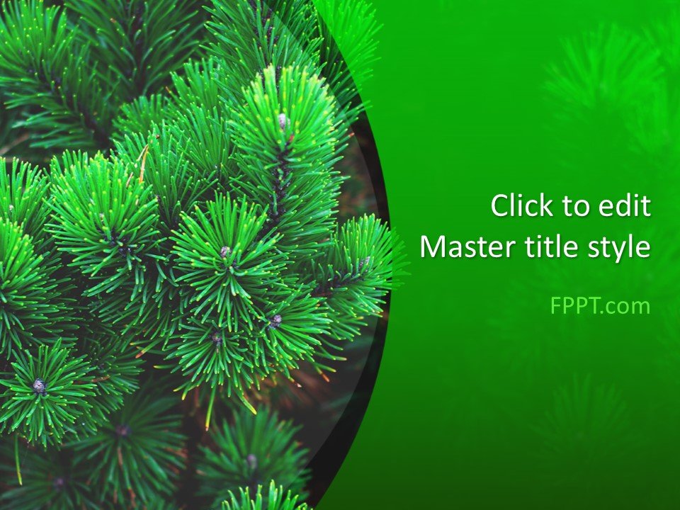 Pine PowerPoint Template