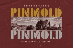 Pinmold Font