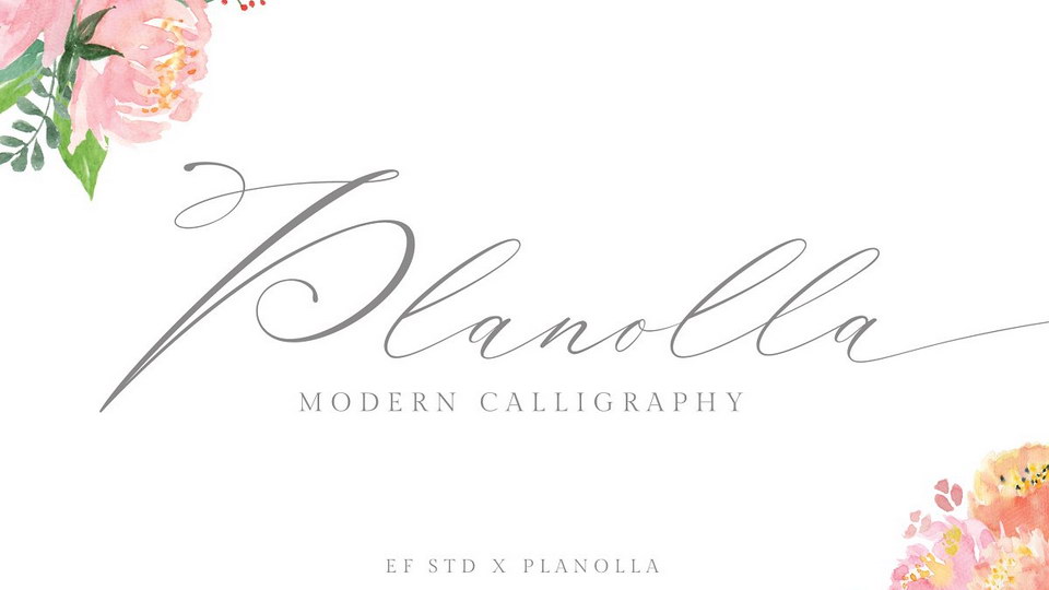 Planolla Script › Fontesk