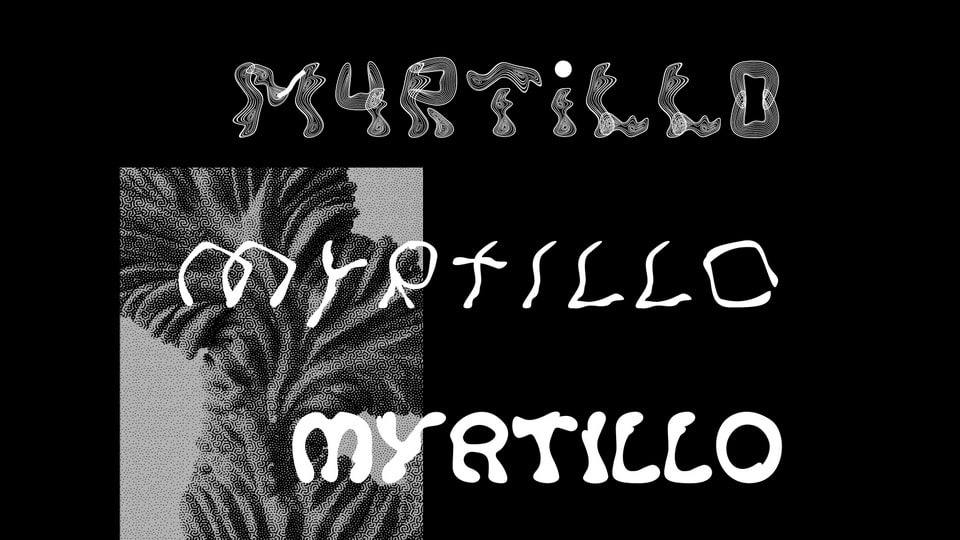 Plantasia Myrtillo Font › Fontesk