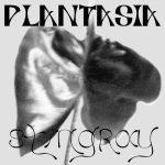 Plantasia Stingray Font › Fontesk