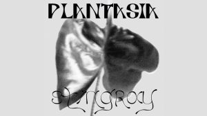 Plantasia Stingray Font › Fontesk