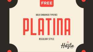 Platina Font › Fontesk