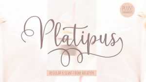 Platipus Script Font › Fontesk