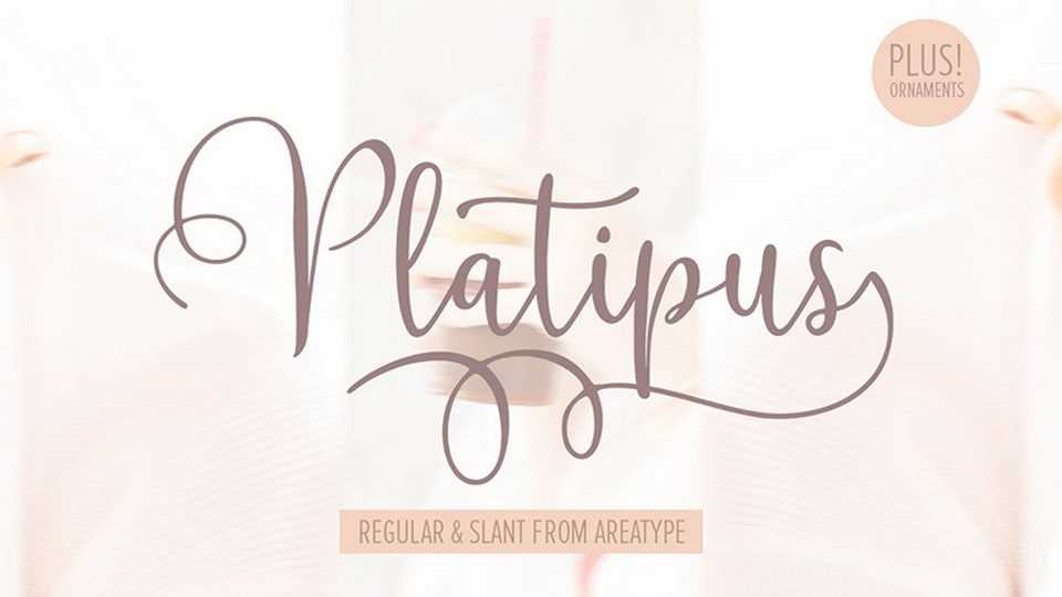 Platipus Script Font › Fontesk