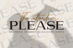 Please Serif Font
