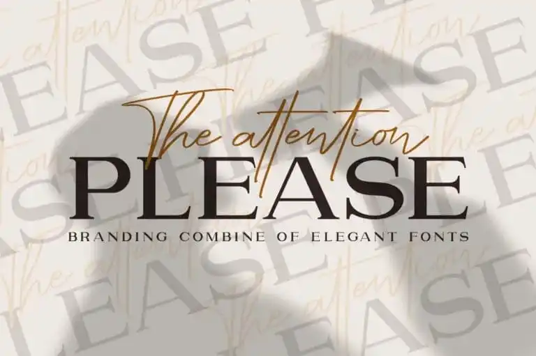Please Serif Font