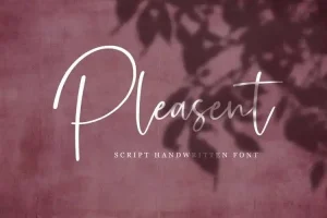 Pleasent Script Font