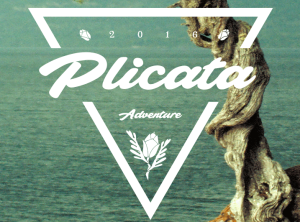 Plicata Font
