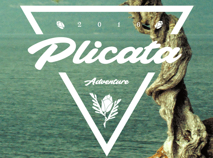 Plicata Font