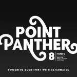 Point Panther Font