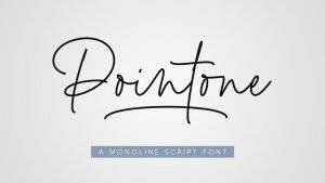 Pointone Font › Fontesk
