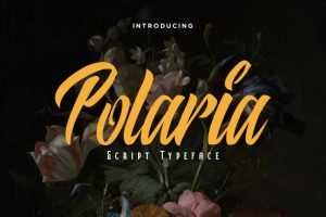Polaria Script Typeface