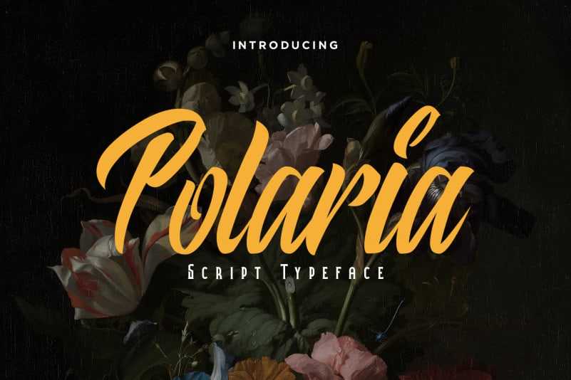Polaria Script Typeface