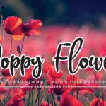 Poppy Flower Script Font