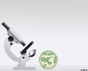 PPT Biology PowerPoint Template