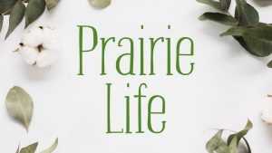 Praire Life Font › Fontesk