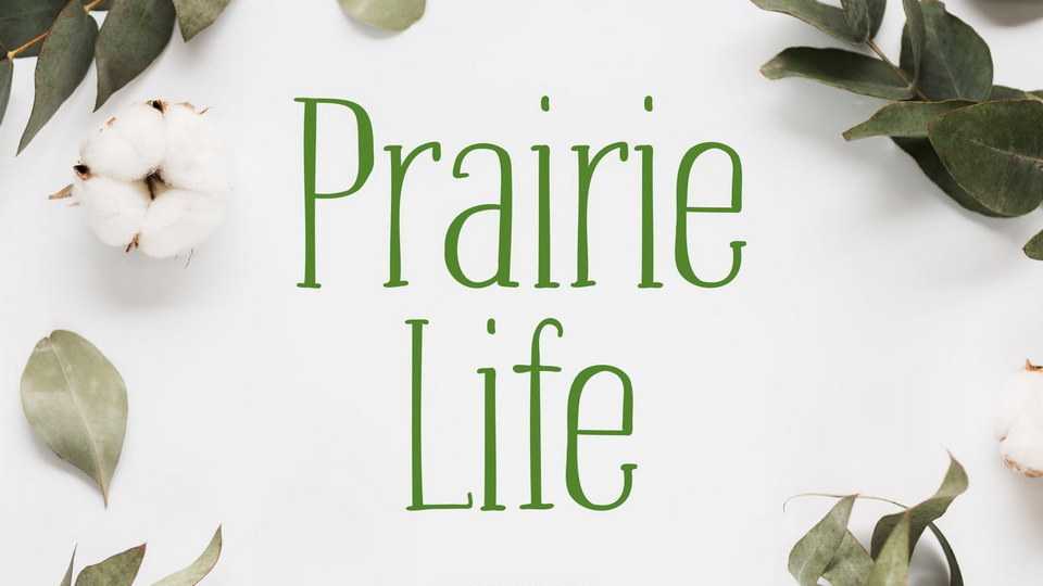 Praire Life Font › Fontesk